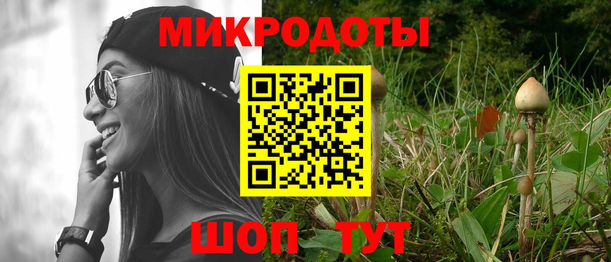 Галлюциногенные грибы Psilocybine cubensis Канаш